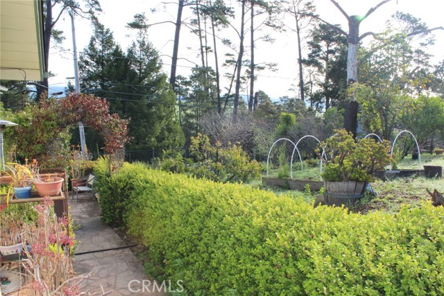 Detail Gallery Image 22 of 41 For 1909 Pineridge, Cambria,  CA 93428 - 2 Beds | 2 Baths