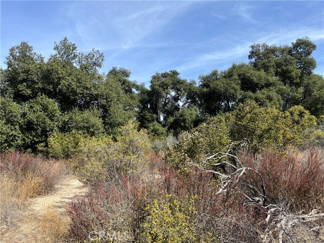 Detail Gallery Image 15 of 26 For 35010 Willow Creek Rd., Hemet,  CA 92544 - – Beds | – Baths