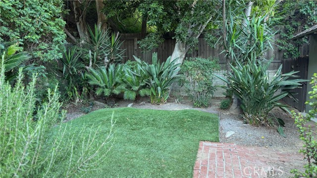 back yard
