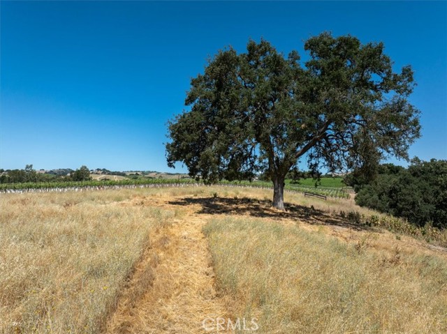 Detail Gallery Image 41 of 48 For 911 Wilmar Pl, Paso Robles,  CA 93446 - 3 Beds | 1 Baths