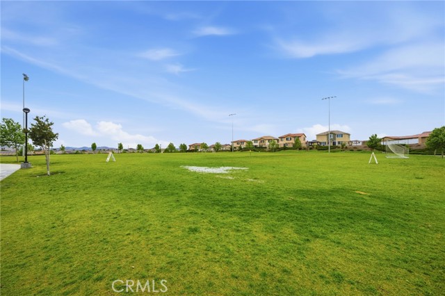 Image 52 of 55 For 26541 Scotch