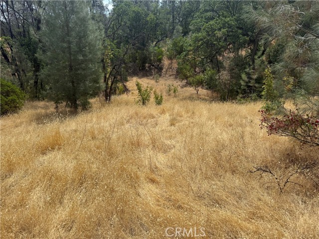 Image 3 of 5 For 16295 Hillcrest Drive