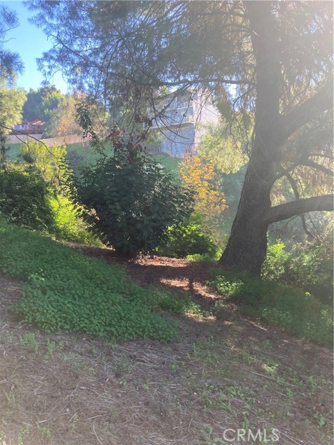 Detail Gallery Image 32 of 37 For 3633 Lavell Dr, Los Angeles,  CA 90065 - 1 Beds | 1 Baths