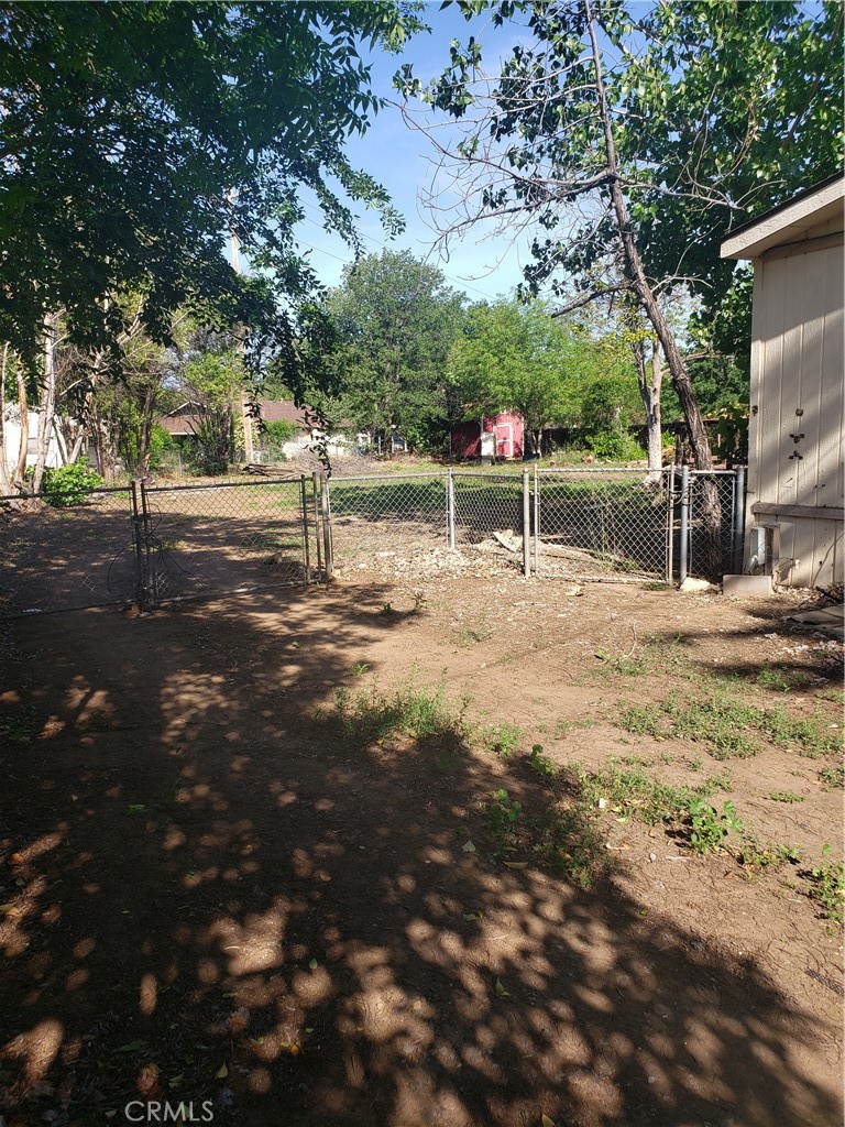 Back yard