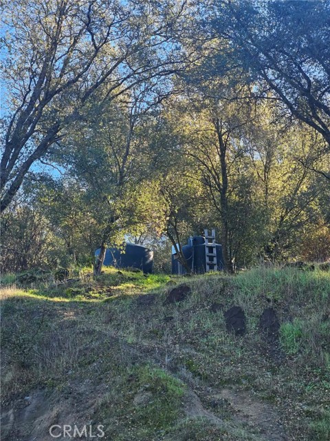 Detail Gallery Image 34 of 49 For 50814 Road 200, O Neals,  CA 93645 - 3 Beds | 3 Baths