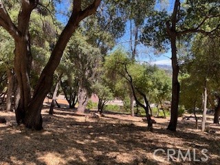 7878 Soda Bay Road, Kelseyville CA: https://media.crmls.org/medias/fcbde05a-a9e8-4518-bfe1-53a40860e1cd.jpg