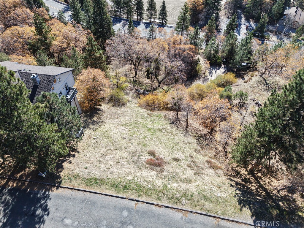 MLS #IG25271435 image #6