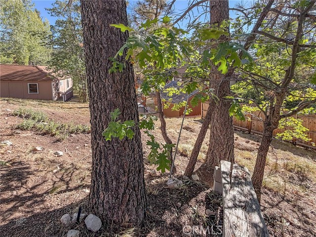 40189 Mahanoy Lane, Big Bear Lake, CA 92315