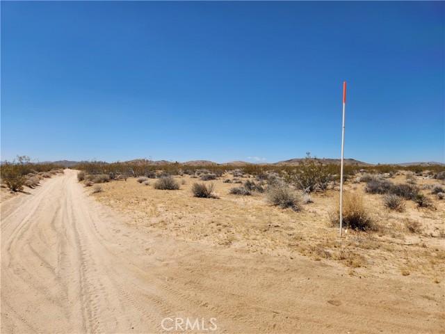 Detail Gallery Image 3 of 9 For 40 Ac Joshua Tree, Joshua Tree,  CA 92252 - – Beds | – Baths