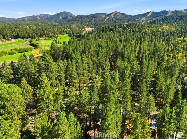 42770 Cedar, Big Bear Lake, CA 92315