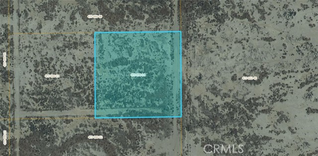 Front Image Thumbnail for CRSR26024503