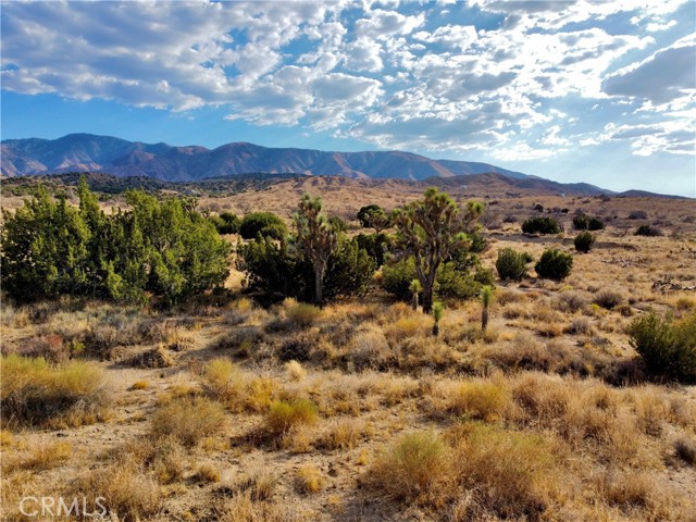 Detail Gallery Image 13 of 16 For 13 Longview Rd, Pearblossom,  CA 93553 - – Beds | – Baths