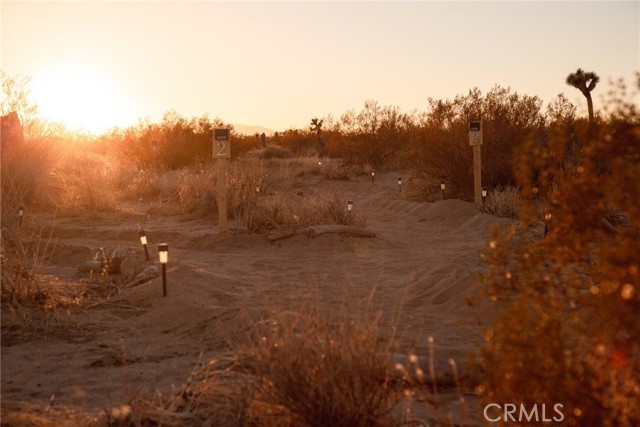 Detail Gallery Image 11 of 24 For 2674 Manana Ave, Joshua Tree,  CA 92252 - – Beds | – Baths