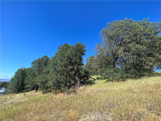 5597 Valley Vista, Kelseyville, CA, 95451 5597 Valley Vista, Kelseyville, CA, 95451