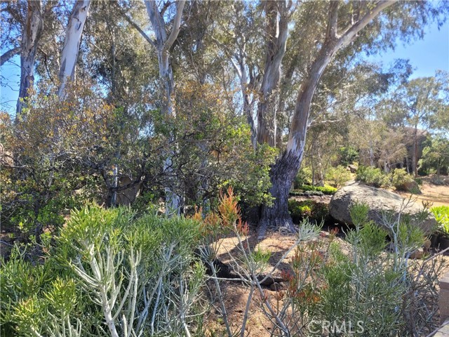 11401 Topanga, Chatsworth CA: https://media.crmls.org/medias/fcdaad44-8fd6-4ddc-ab33-fb399b7bbc15.jpg