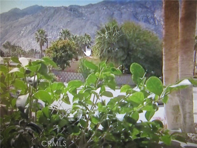 Image 3 for 1415 N Sunrise Way #48, Palm Springs, CA 92262