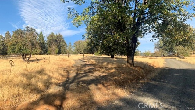 Detail Gallery Image 5 of 19 For 5644 Sierra Meadows Ln, Mariposa,  CA 95338 - – Beds | – Baths