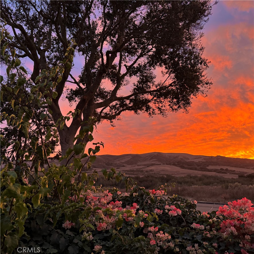 https://media.crmls.org/medias/fcf42112-6dd3-4173-baf8-e1f6d73f3fc0.jpg?preset=X-Large