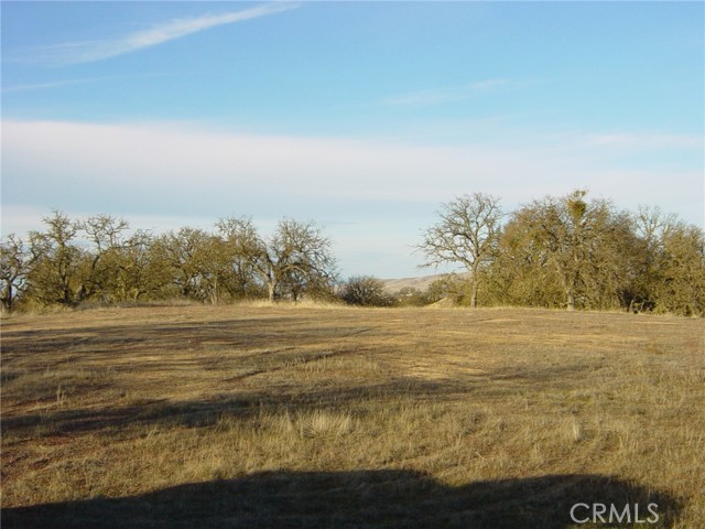 Detail Gallery Image 13 of 71 For 6675 Webster Rd, Creston,  CA 93432 - – Beds | – Baths