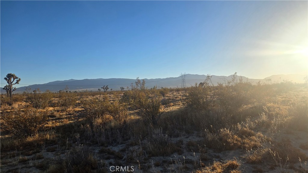MLS #SR25151837 image #8