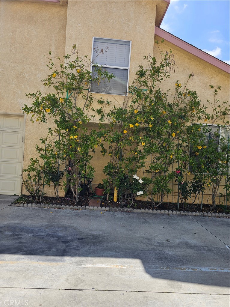 MLS #PI25104037 image #6