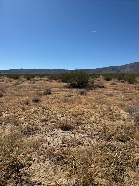 Detail Gallery Image 8 of 11 For 0 Ca-247, Johnson Valley,  CA 92285 - – Beds | – Baths