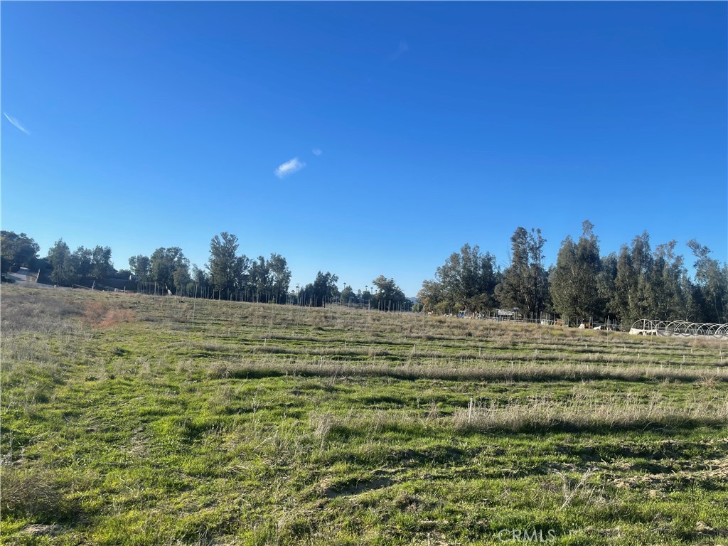 MLS #WS25276306 image #18