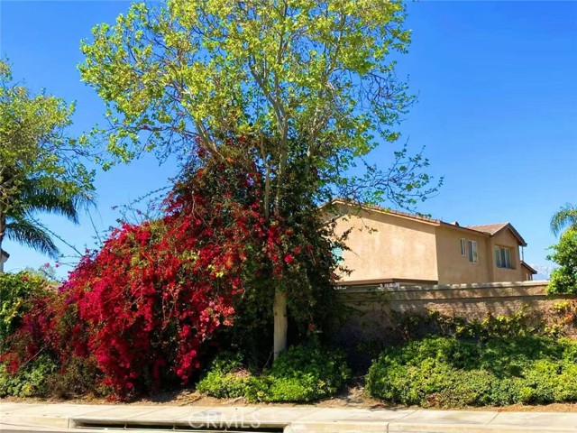 Detail Gallery Image 49 of 61 For 14037 Hollywood Ave, Corona,  CA 92880 - 4 Beds | 3 Baths