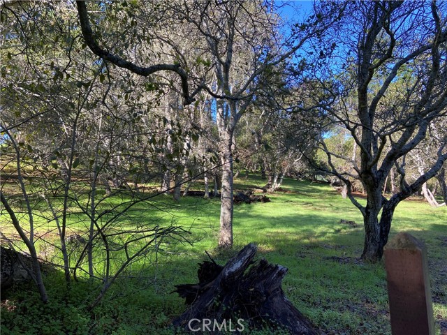 0 Kenneth, Cambria, California 93428, ,Land,For Sale,0 Kenneth,CRSC24012358