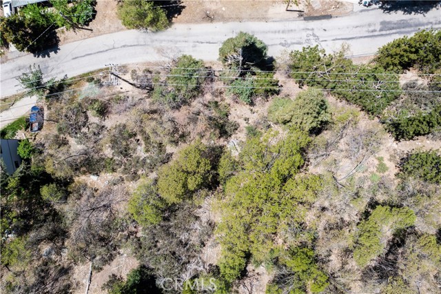 6011 Mountain Home Creek Road, Angelus Oaks, California 92305, ,Land,For Sale,6011 Mountain Home Creek Road,CREV23173509