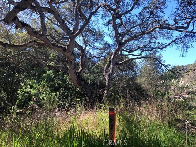 Detail Gallery Image 9 of 9 For 221 Tucker Rd, Royal Oaks,  CA 95076 - – Beds | – Baths