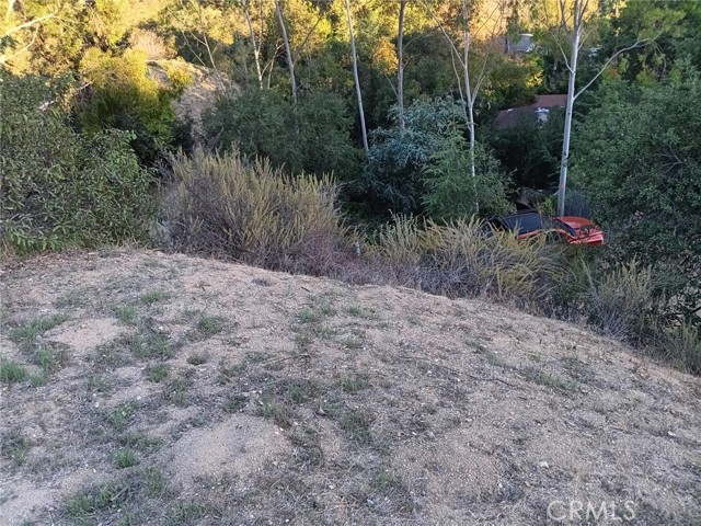 Front Image Thumbnail for CRGD25264051