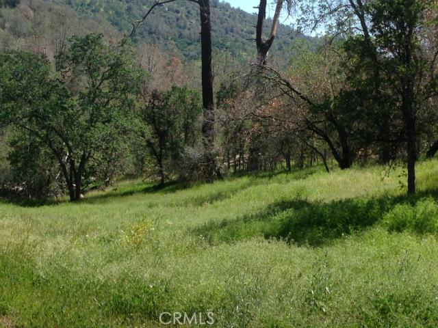 4923 Tanager Lane, Catheys Valley, CA 95306
