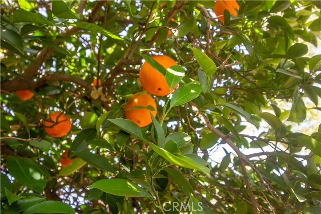 Detail Gallery Image 25 of 28 For 1030 E San Jose, Burbank,  CA 91501 - 3 Beds | 2 Baths