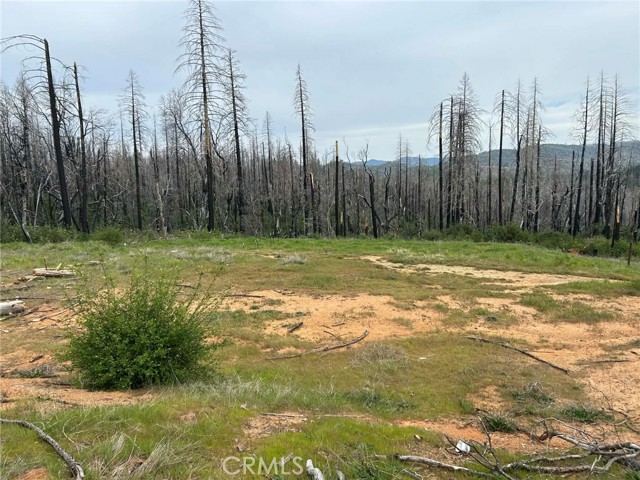 Detail Gallery Image 3 of 14 For 83 Oak Tree Lane, Berry Creek,  CA 95916 - – Beds | – Baths