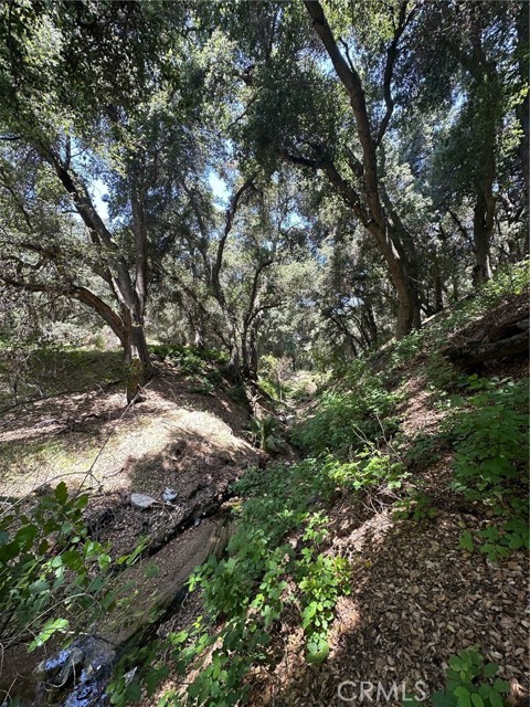 0 Oak Mountain Drive, Yucaipa, California 92399, ,Land,For Sale,0 Oak Mountain Drive,CRIG23148050