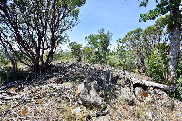 0 Mackey Court, Oroville CA: https://media.crmls.org/medias/fd3369bf-d393-4acc-99aa-5d14e50f6ebf.jpg