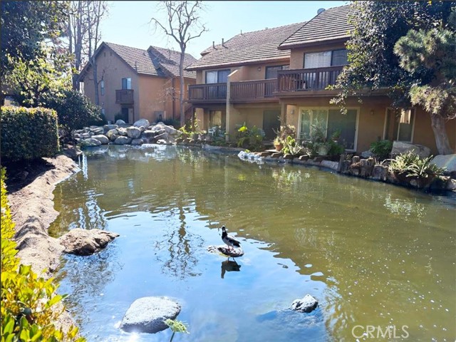 Front Image Thumbnail for CROC26058913