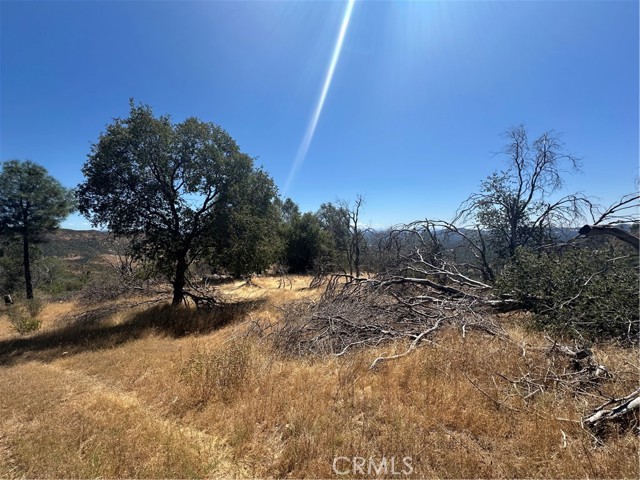 3896 B State Highway 140, Mariposa CA: https://media.crmls.org/medias/fd3c4764-debf-48ae-a5bb-2f0894df73af.jpg