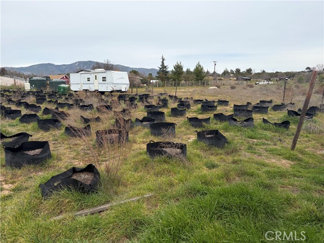 Detail Gallery Image 21 of 41 For 1 Boulder Hill Rd, Anza,  CA 92539 - – Beds | – Baths