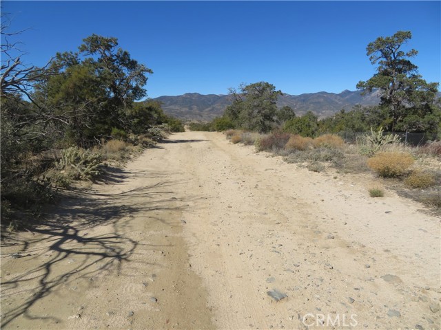 Detail Gallery Image 16 of 16 For 155 Lot #155 Buckthorn, Mountain Center,  CA 92561 - – Beds | – Baths