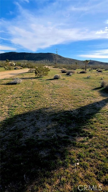 Detail Gallery Image 13 of 19 For 59787 Sharp Terrace, Yucca Valley,  CA 92284 - – Beds | – Baths