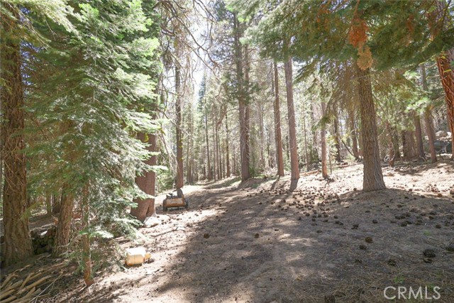 67922 Beasore Road, Bass Lake CA: https://media.crmls.org/medias/fd4d5004-a148-4ceb-b0fd-c073e8ab81e9.jpg