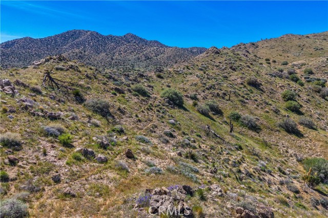 Detail Gallery Image 15 of 46 For 58215 Santa Barbara, Yucca Valley,  CA 92284 - – Beds | – Baths