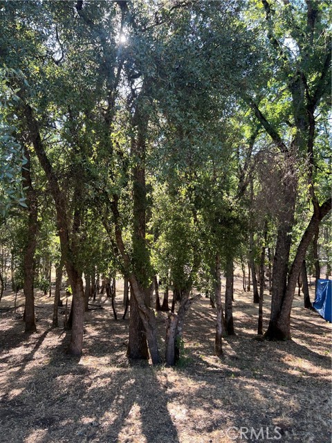 5723 Inca Way, Kelseyville CA: https://media.crmls.org/medias/fd5487c2-ba35-4290-b0d7-c5ba72f480cb.jpg