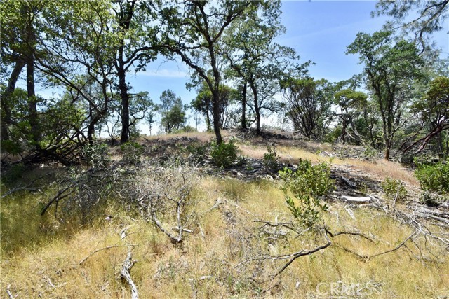 0 Mackey Court, Oroville CA: https://media.crmls.org/medias/fd5711f9-ae01-44f1-b3f9-43c982fec7d2.jpg