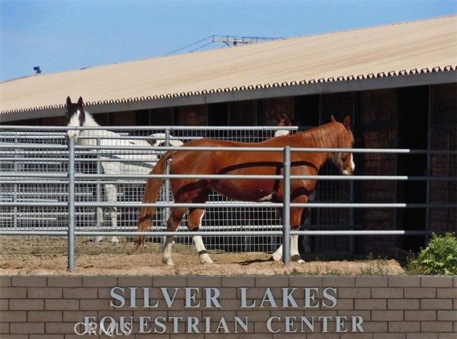 26993 Lakeview Dr, Helendale CA: https://media.crmls.org/medias/fd594cc5-ae88-46e6-9171-e9b72ed2b6e6.jpg