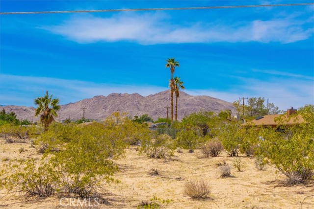Detail Gallery Image 9 of 27 For 1 Jadeite St, Joshua Tree,  CA 92252 - – Beds | – Baths