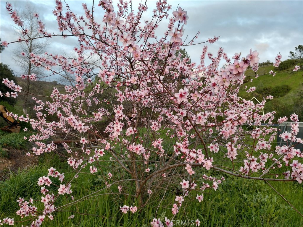 https://media.crmls.org/medias/fd5f3c72-6120-4aa2-9d1c-6625c149c383.jpg?preset=X-Large
