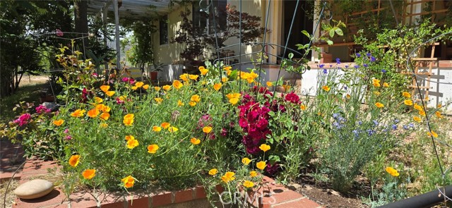 Detail Gallery Image 59 of 74 For 57745 Bailey, Anza,  CA 92539 - 3 Beds | 2 Baths